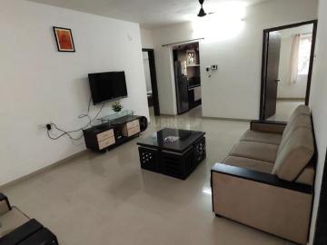 2 BHK Apartment in Narhe for rent Pune. The reference number is 20524814