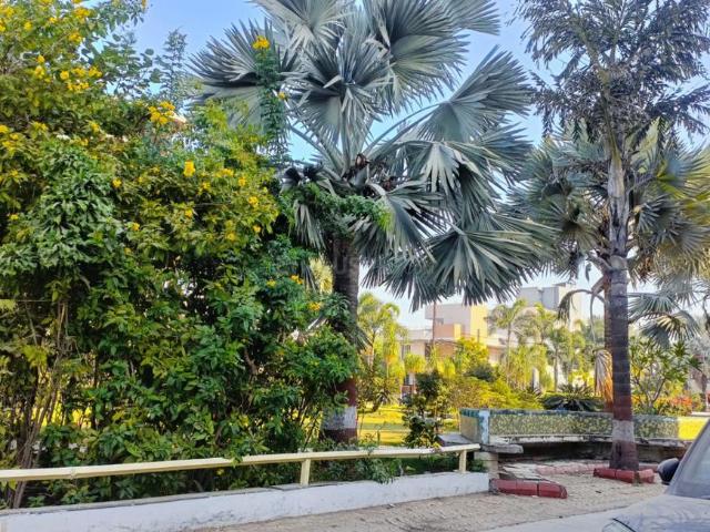 2 BHK Apartment in Nipania for resale Indore. The reference number is 19248851
