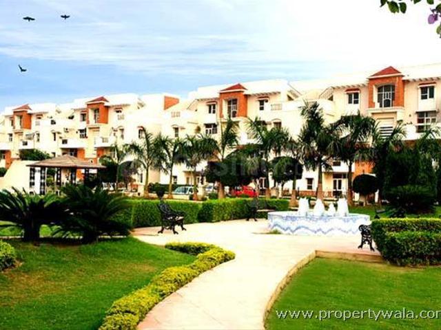 2 BHK Apartment in Sector PI for resale Greater Noida. The reference number is 21087687