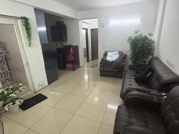 Noida, Gautam Buddha Nagar District, Delhi