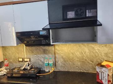 2 BHK Apartment in Sector 15 for rent Bahadurgarh. The reference number is 20080970