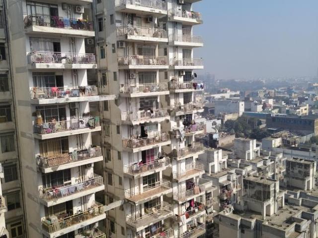 2 BHK Apartment in Sector 104 for rent Gurgaon. The reference number is 21019802