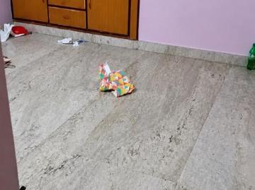 2 BHK Apartment in Sector 10 Dwarka for rent New Delhi. The reference number is 20572811