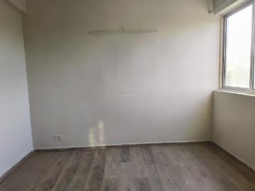 2 BHK Apartment in Sector 110 for rent Noida. The reference number is 20546824