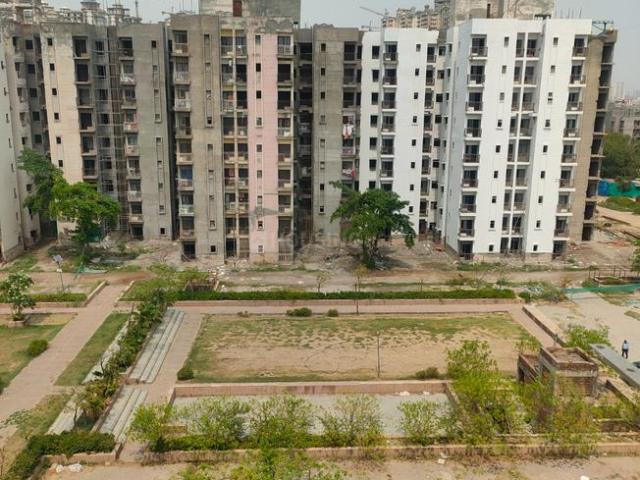 2 BHK Apartment in Sector 117 for rent Noida. The reference number is 20410601