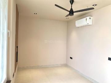 Hazipur Noida, Noida, Gautam Buddha Nagar District, Delhi