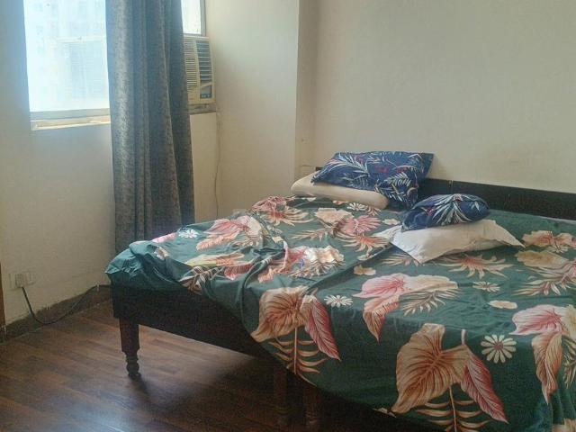 2 BHK Apartment in Sector 137 for rent Noida. The reference number is 18715379