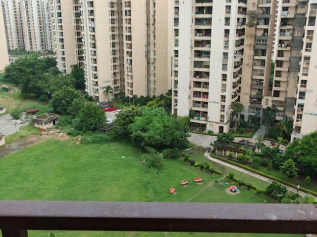 2 BHK Apartment in Sector 134 for rent Noida. The reference number is 20918285