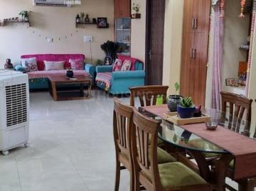 2 BHK Apartment in Sector 13 Rohini for resale New Delhi. The reference number is 20026537