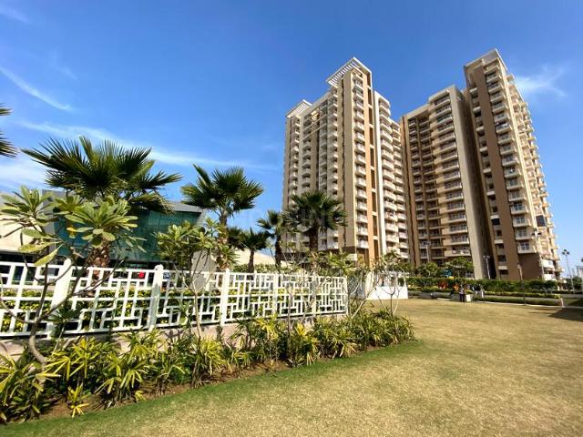 2 BHK Apartment in Sector 2 for rent Sohna. The reference number is 20904587
