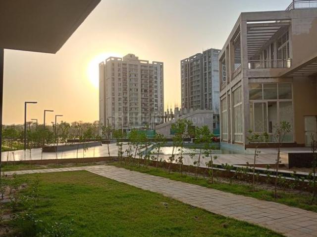 2 BHK Apartment in Sector 35 for rent Sohna. The reference number is 20624088
