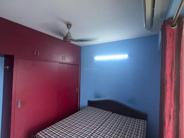 2 BHK Apartment in Sector 36 for rent Sohna. The reference number is 20704513