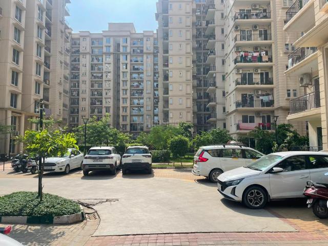 2 BHK Apartment in Sector 36 for rent Sohna. The reference number is 21340482