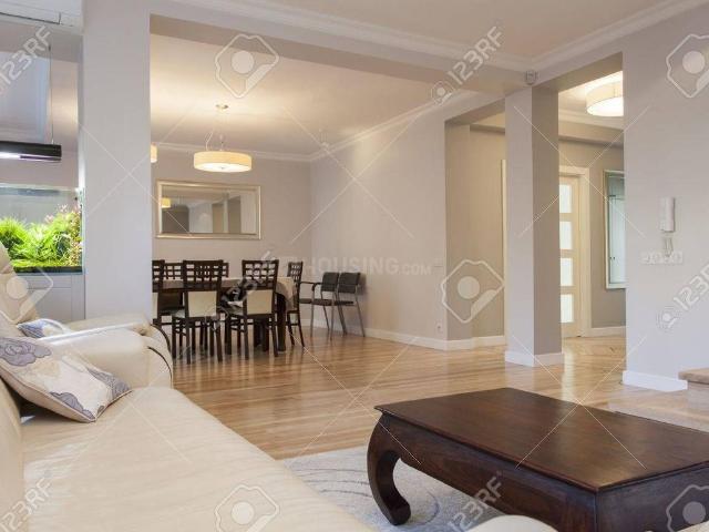 2 BHK Apartment in Sector 49 for resale Noida. The reference number is 20598318