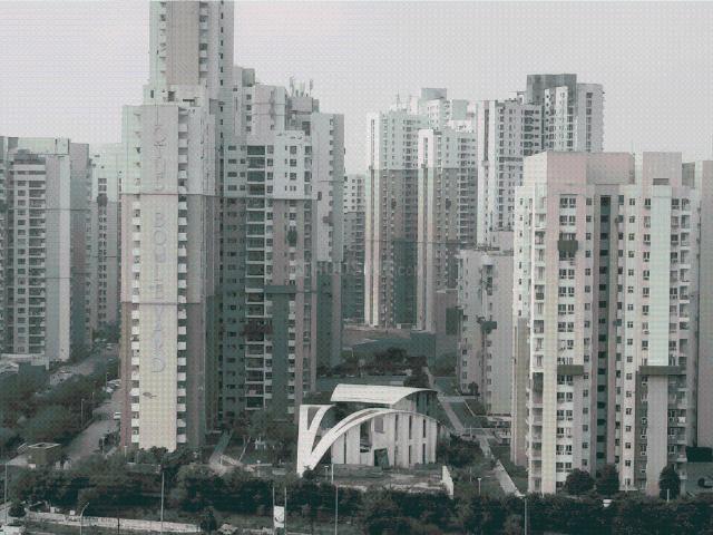 2 BHK Apartment in Sector 43 for rent Noida. The reference number is 20756401