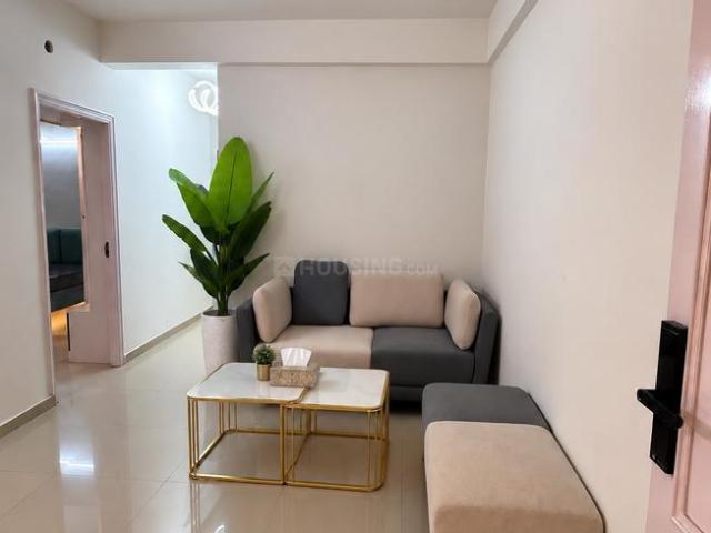 2 BHK Apartment in Sector 59 for rent Gurgaon. The reference number is 21143637