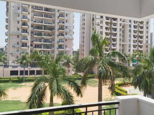 2 BHK Apartment in Sector 50 for rent Gurgaon. The reference number is 20695686