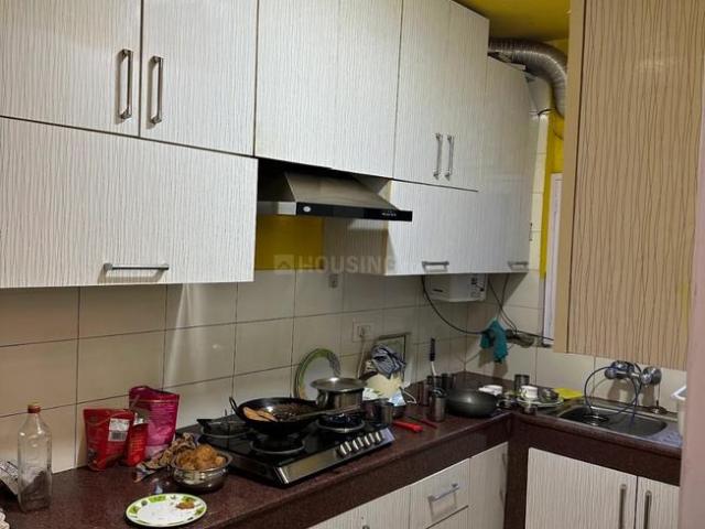 2 BHK Apartment in Sector 50 for rent Gurgaon. The reference number is 20833770