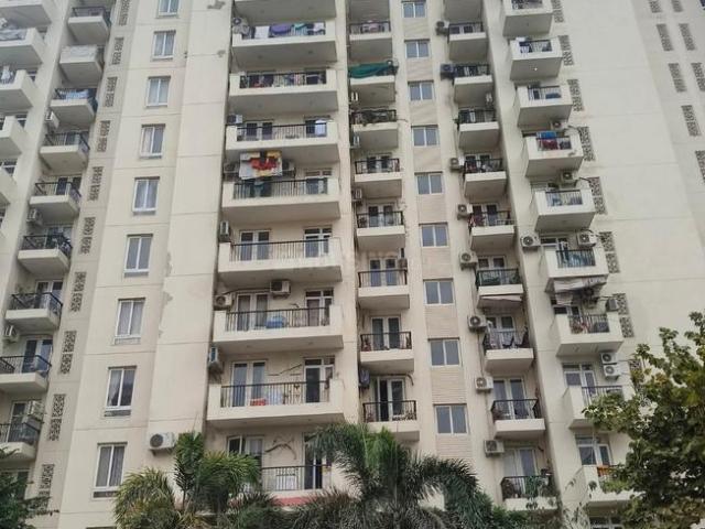 2 BHK Apartment in Sector 65 for rent Gurgaon. The reference number is 20665390
