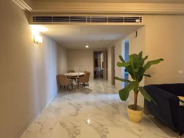 2 BHK Apartment in Sector 65 for rent Gurgaon. The reference number is 20124227