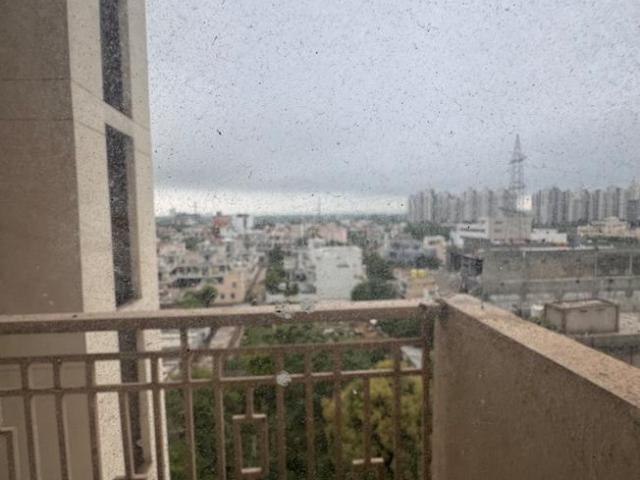 2 BHK Apartment in Sector 67 for rent Gurgaon. The reference number is 20844854
