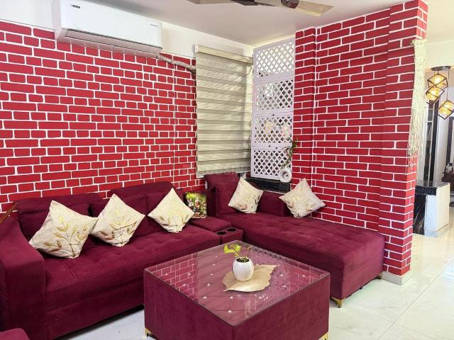 2 BHK Apartment in Sector 6 for rent Sohna. The reference number is 21010597