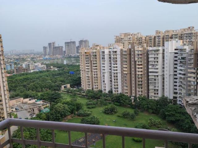 2 BHK Apartment in Sector 74 for rent Noida. The reference number is 21124280
