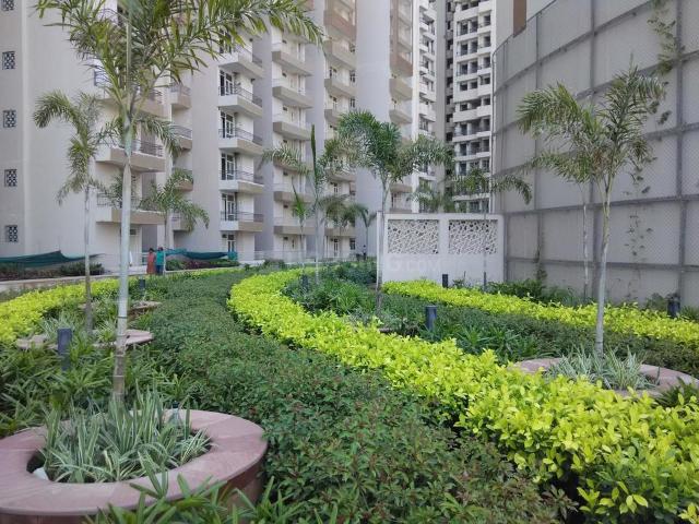 2 BHK Apartment in Sector 74 for rent Noida. The reference number is 21265184