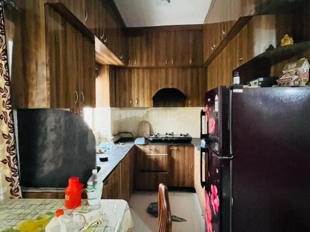 2 BHK Apartment in Sector 75 for rent Noida. The reference number is 20743727