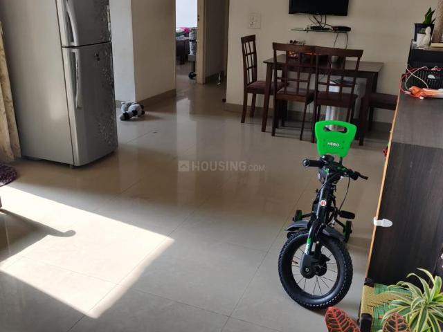 2 BHK Apartment in Sector 77 for rent Noida. The reference number is 20809541
