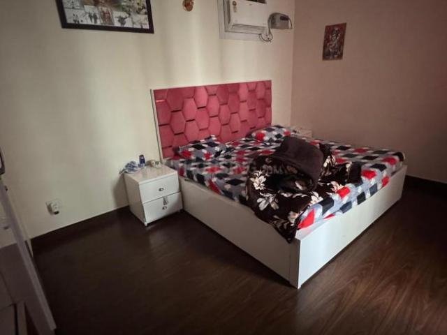 2 BHK Apartment in Sector 77 for rent Gurgaon. The reference number is 16473697