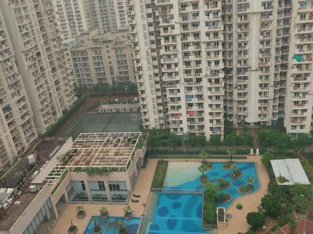 2 BHK Apartment in Sector 78 for rent Noida. The reference number is 12515139