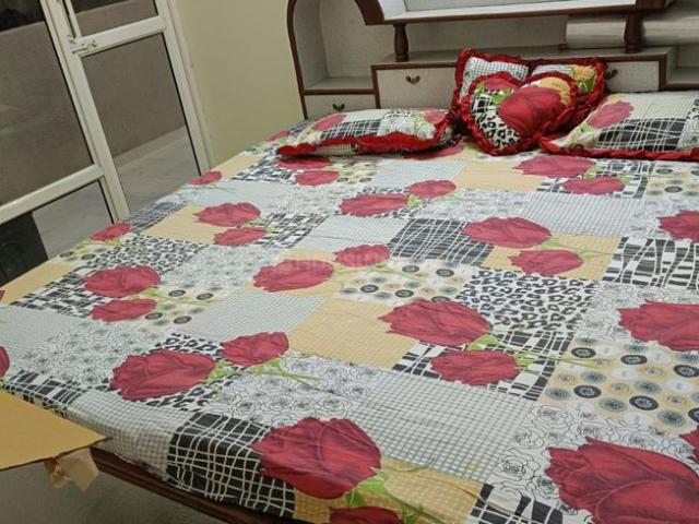 2 BHK Apartment in Sector 86 for rent Gurgaon. The reference number is 20753886