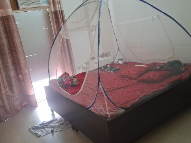 2 BHK Apartment in Sector 95 for rent Gurgaon. The reference number is 21289722
