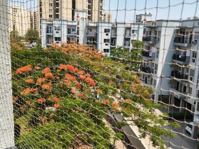 2 BHK Apartment in Sector 92 for resale Gurgaon. The reference number is 20468969