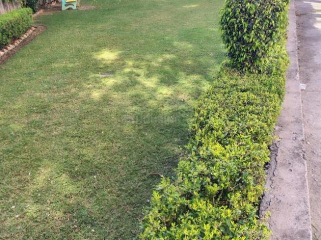 2 BHK Apartment in Shastripuram for resale Agra. The reference number is 20499959