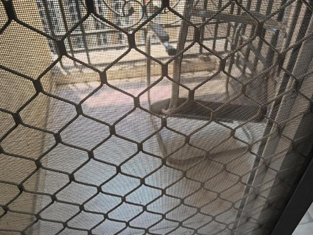 2 BHK Apartment in Siddharth Vihar for rent Ghaziabad. The reference number is 19741357