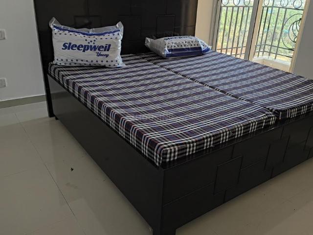 2 BHK Apartment in Siddharth Vihar for rent Ghaziabad. The reference number is 19909944