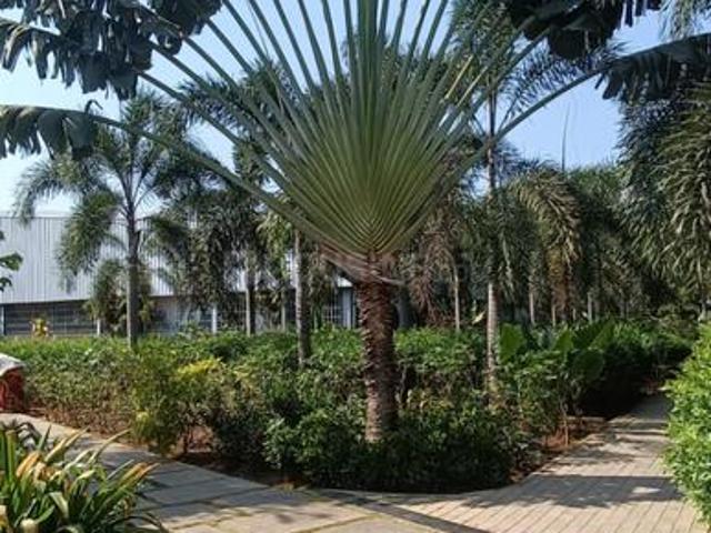 2 BHK Apartment in Padur for rent Chennai. The reference number is 20393030