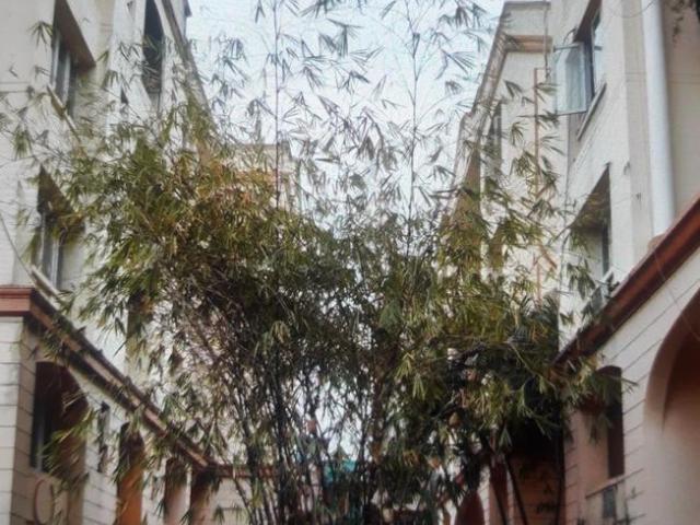 2 BHK Apartment in Paikpara for resale Kolkata. The reference number is 19151957