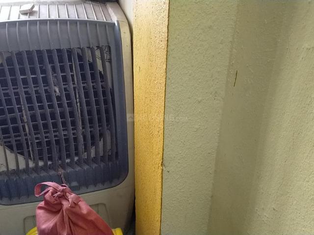 2 BHK Apartment in Panchsheel Nagar for rent Indore. The reference number is 19417663