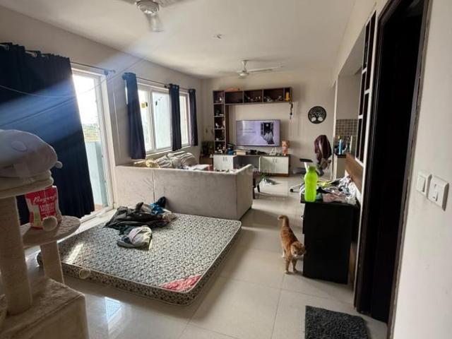 2 BHK Apartment in Parappana Agrahara for rent Bengaluru. The reference number is 21380556