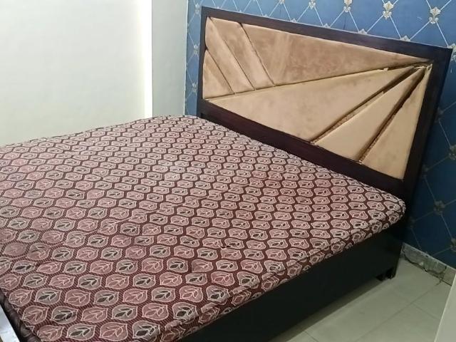 2 BHK Apartment in Raja Park for rent Jaipur. The reference number is 20033568
