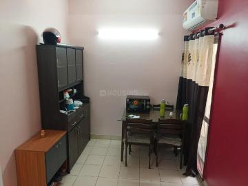 2 BHK Apartment in Rajarhat for rent Kolkata. The reference number is 20564311