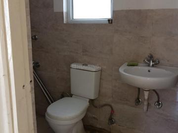 2 BHK Apartment in Wave City for rent Ghaziabad. The reference number is 20543565