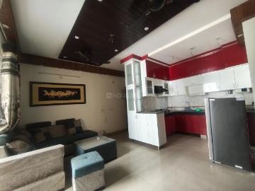 2 BHK Apartment in Wave City for rent Ghaziabad. The reference number is 20536379