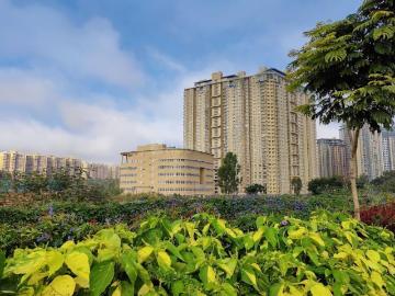 2 BHK Apartment in Thanisandra for resale Bengaluru. The reference number is 20496294