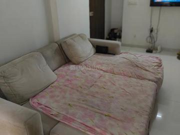 2 BHK Apartment in Tragad for rent Ahmedabad. The reference number is 20548780