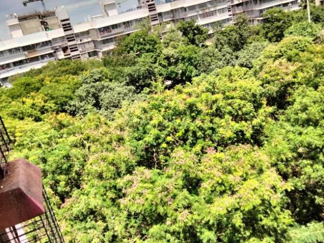 2 BHK Apartment in Vashi for rent Navi Mumbai. The reference number is 21133813