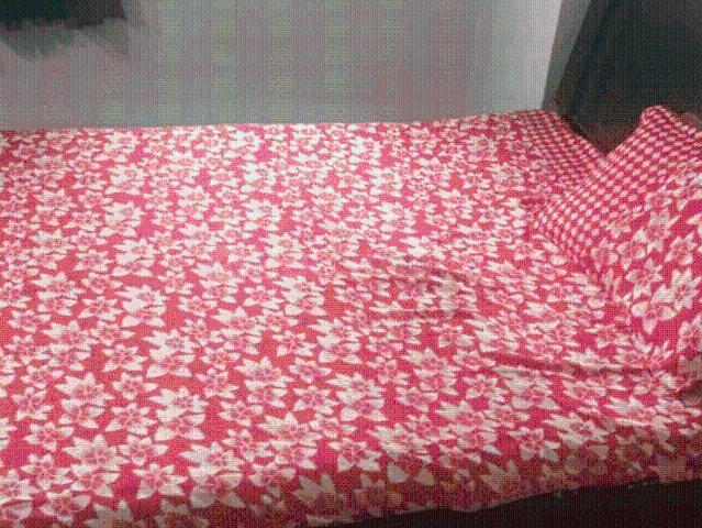 2 BHK Apartment in Vastral for rent Ahmedabad. The reference number is 20636384